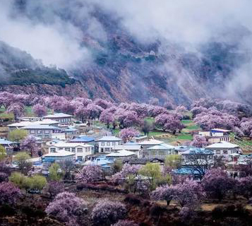 西藏自治區(qū)綠色旅游示范基地評(píng)定管理實(shí)施細(xì)則、西藏自治區(qū)康養(yǎng)旅游示范基地評(píng)定管理實(shí)施細(xì)則